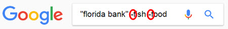 Google search for Florida banks